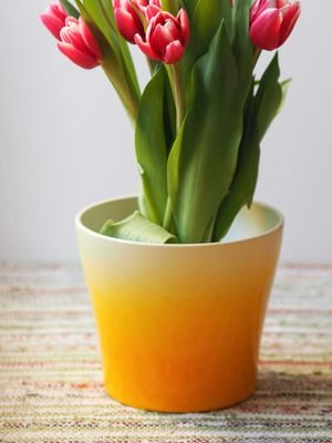 Tulip Pot