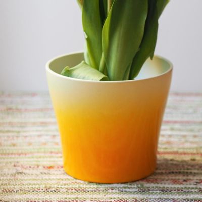 Tulip Pot