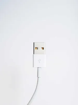 Product image for: USB Cable