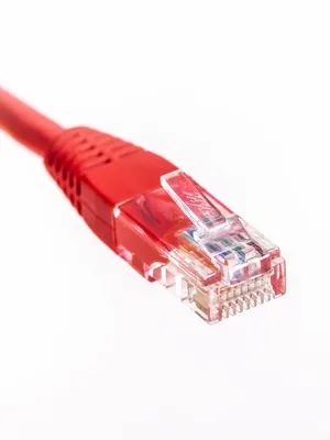 Product image for: Ethernet Cable
