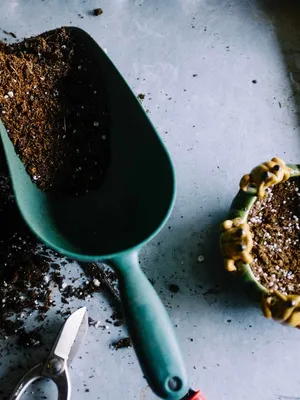 Product image for: Hand Trowel