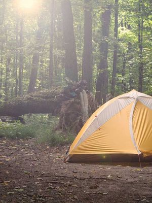 Tent